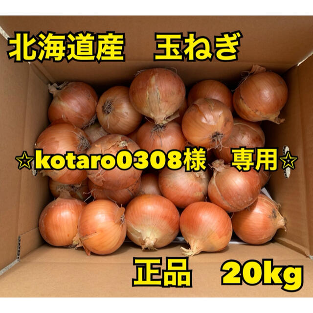 北海道産　玉ねぎ　正品　M〜L  混み玉　20kg 食品/飲料/酒の食品(野菜)の商品写真