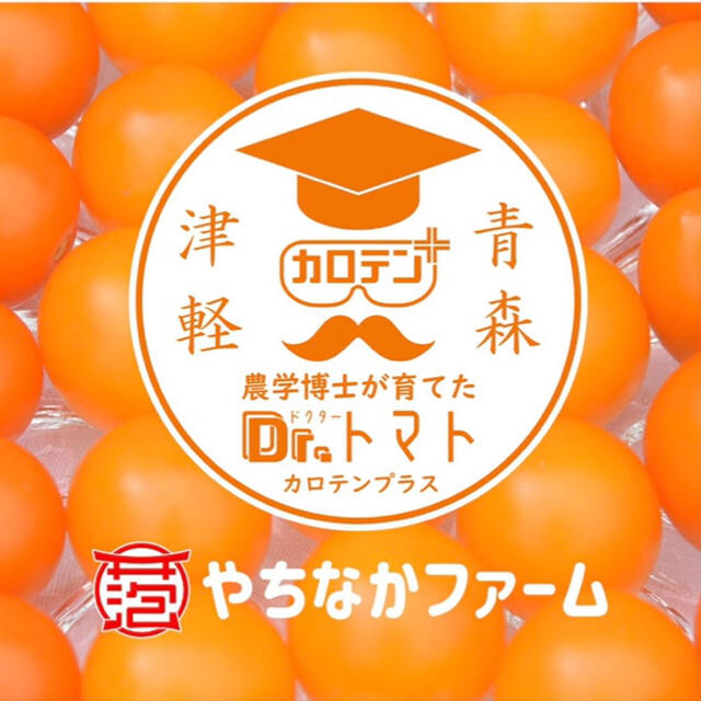 カラートマト 2kg 【クール】黄色トマト オレンジトマト採れたて☘️