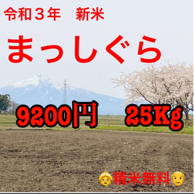 25Kg　白米　米/穀物　令和３年新米】　まっしぐら