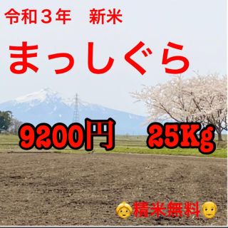 【令和３年新米】　まっしぐら　白米　25Kg(米/穀物)