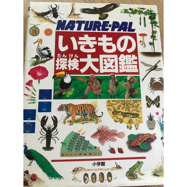 いきもの探検大図鑑 Ｎａｔｕｒｅ－ｐａｌ エンタメ/ホビーの本(絵本/児童書)の商品写真