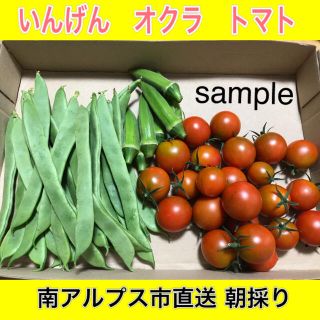 農家直送☆いんげん・オクラ・トマトセット ネコポス(野菜)