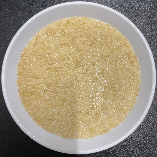 送料無料　新米　30kg　減農薬米　コシヒカリ　丹後　京都　玄米