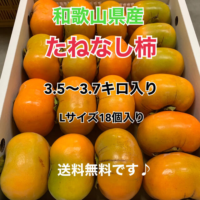 L3 和歌山県産　たねなし柿♪ ご家庭用　18個入り 食品/飲料/酒の食品(フルーツ)の商品写真