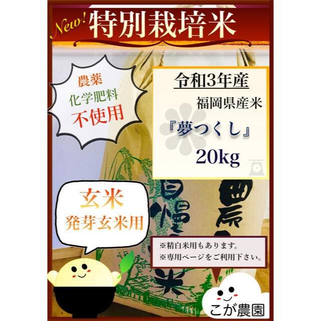 食品特別栽培米　福岡県産米『夢つくし』　20kg 【玄米専用】令和3年産　新米