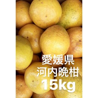 愛媛県　宇和ゴールド　河内晩柑　15kg(フルーツ)