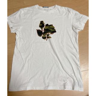 ディオール(Dior)の確実正規品　Dior  薔薇迷彩Tシャツ(Tシャツ/カットソー(半袖/袖なし))