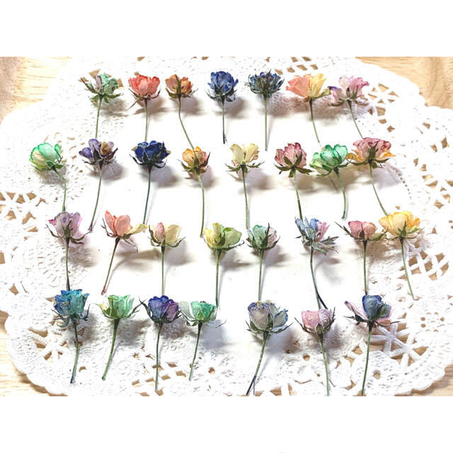 2022高い素材 ドライフラワー 染め薔薇 極小3色❣️ フラワー/ガーデン - www.we-job.com 2022高い素材 ドライフラワー 染め薔薇 極小3色❣️ フラワー/ガーデン - www.we-job.com