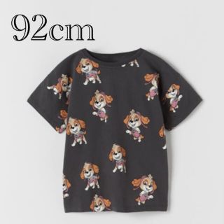 ザラキッズ(ZARA KIDS)の専用です　パウパトロール　スカイ　レギンス&Tシャツ×2点(Tシャツ/カットソー)