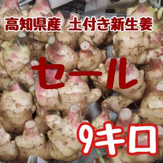 土付き新生姜セール品 9キロ(野菜)