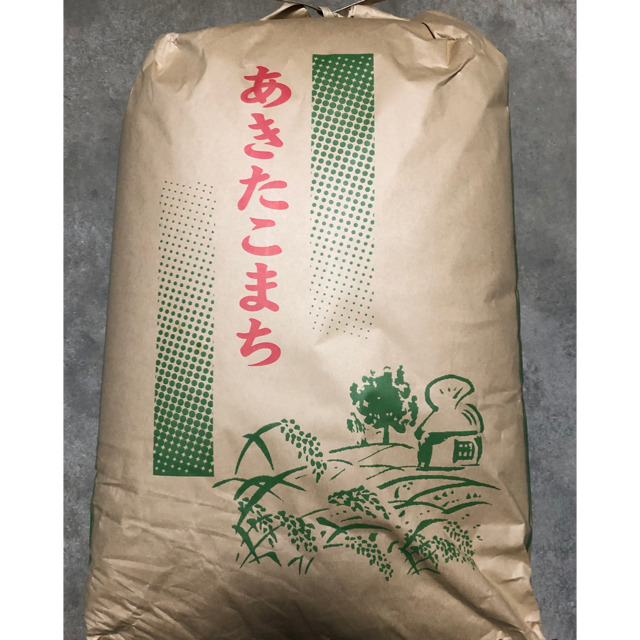 精米無料　玄米20kg　秋田県産　令和3年　あきたこまち　新米　米/穀物