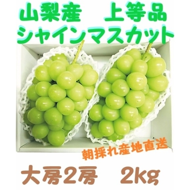 当日摘み*シャインマスカット*特大房２房青秀品*納得の翡翠葡萄*山梨笛吹産　フルーツ