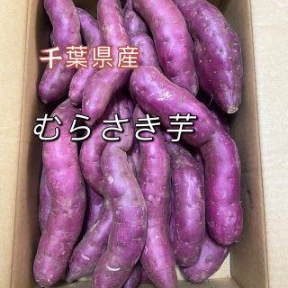 むらさき芋　千葉県産　箱含む5kg   さつまいも(野菜)