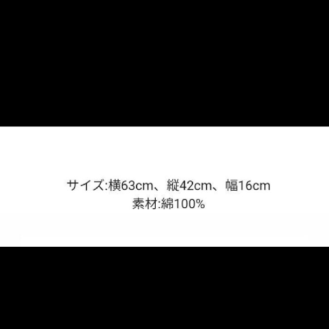 THE NORTH FACE(ザノースフェイス)の新品♪未使用品♪海外限定品♪ノースフェイス　トートバッグ　ママバック　サブバック レディースのバッグ(トートバッグ)の商品写真