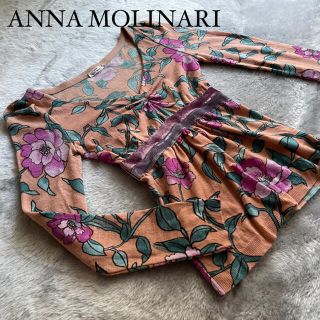 アンナモリナーリ(ANNA MOLINARI)のANNA MOLINARI アンナ モリナーリ 長袖ニット　美品(ニット/セーター)