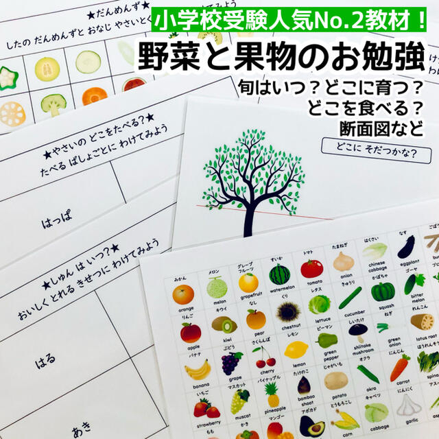 野菜と果物のお勉強　小学校受験対策　幼児教育 1