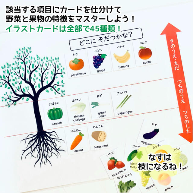 野菜と果物のお勉強　小学校受験対策　幼児教育 2