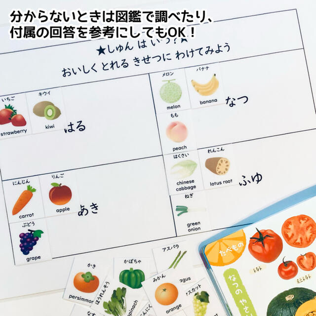 野菜と果物のお勉強　小学校受験対策　幼児教育 3