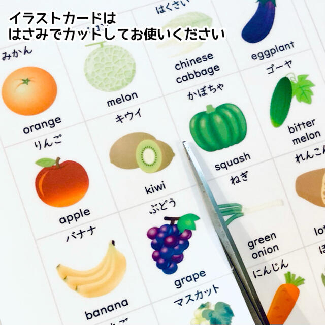 野菜と果物のお勉強　小学校受験対策　幼児教育 4