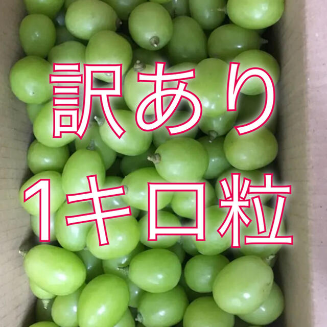 最大71%オフ! ハリがないシャインマスカット 粒1キロ yatesrealty.com