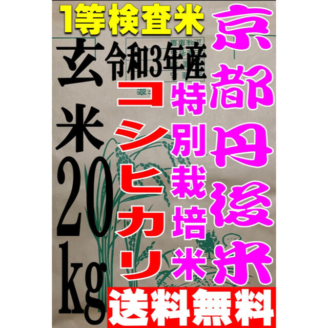 玄米【送料無料 一等検査米】新米 令和3年産 京都 丹後 コシヒカリ 玄米 20kg