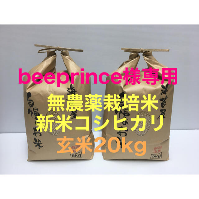 beeprince様専用 新米 無農薬コシヒカリ玄米20kg(5kg×4)令和3-