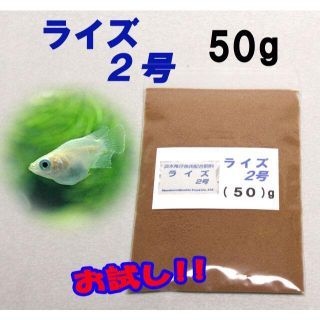 めだか の 餌 エサ◇ライズ２号 ５０ｇ◇メダカ の えさ☆ 愛好家御用達②(アクアリウム)