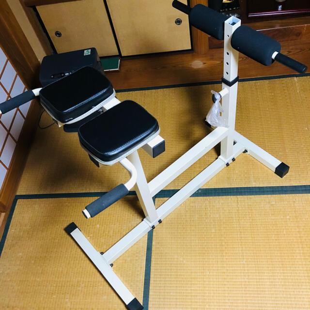 【筋トレ】背筋、腹筋、ディップス、バックキックトレーニング