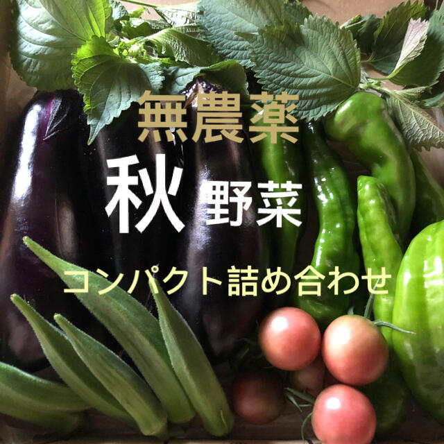 無農薬　秋野菜　コンパクト　詰め合わせ　採りたてセット 食品/飲料/酒の食品(野菜)の商品写真