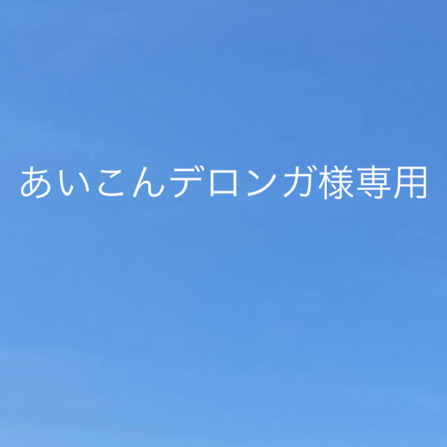 あいこんデロンガ様専用　パープル、シャイン(おまけ)計1キロ 食品/飲料/酒の食品(フルーツ)の商品写真