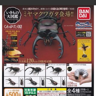 バンダイ(BANDAI)のいきもの大図鑑　マンディブラリスフタマタクワガタ(その他)