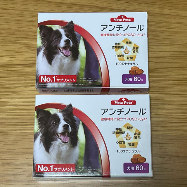 犬用アンチノール 60粒 2箱