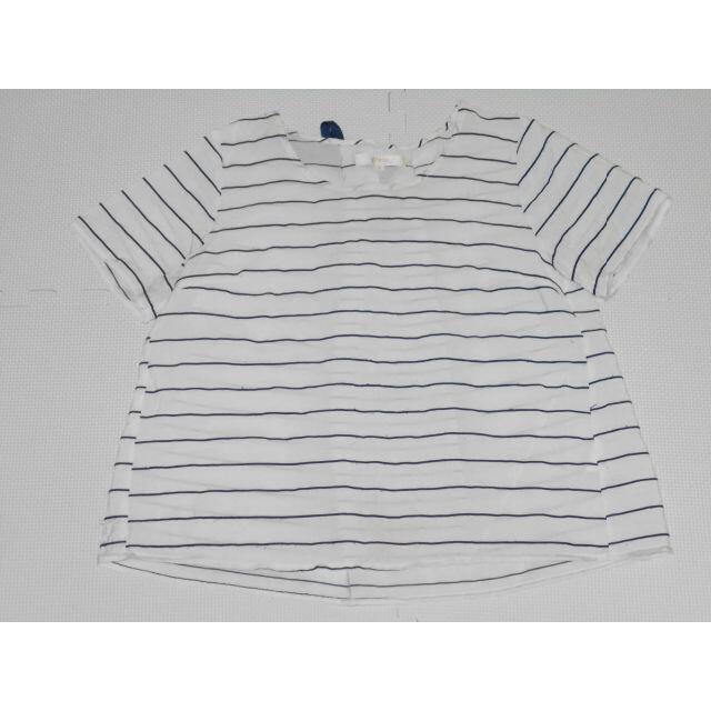 grove(グローブ)の衣類 レディース Lサイズ 半袖Tシャツ ボーダー 白 grove レディースのトップス(Tシャツ(半袖/袖なし))の商品写真
