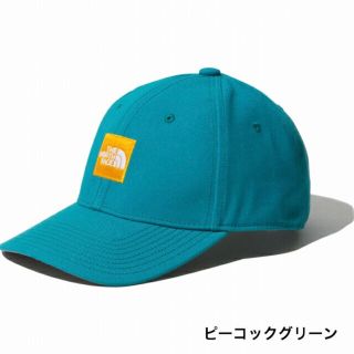 ザノースフェイス(THE NORTH FACE)のNorth Face ピーコックグリーン CAP(キャップ)