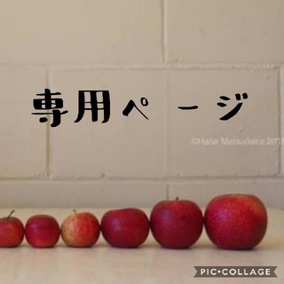 ななめがけできる☆図書袋（迷彩　ネイビー）(バッグ/レッスンバッグ)