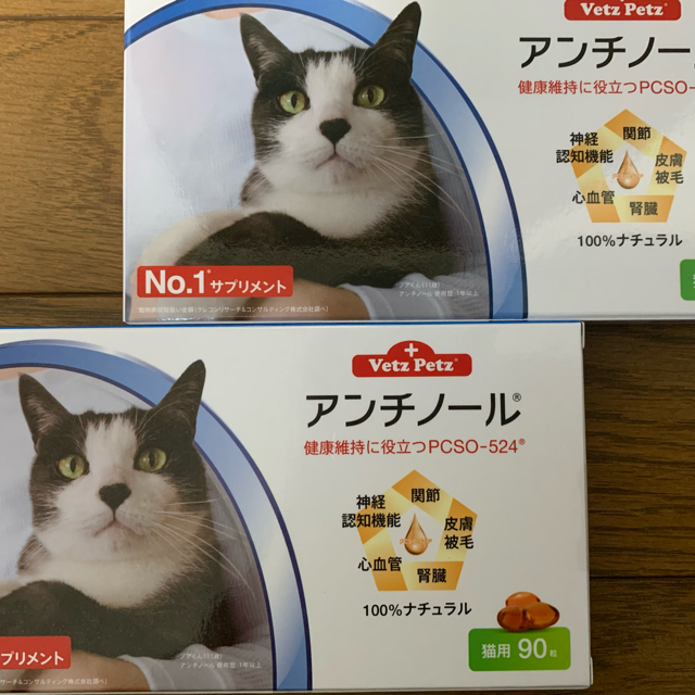 アンチノール猫用90粒2ケース