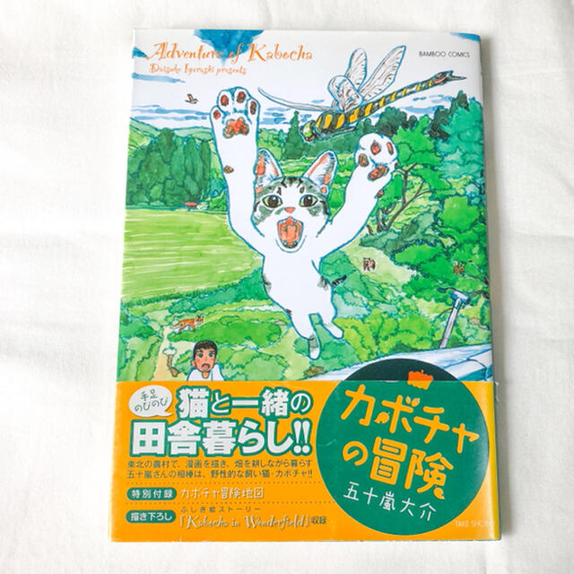 カボチャの冒険 五十嵐大介 猫 漫画 マンガ コミックの通販 By ラクマ カボチャの冒険 五十嵐大介 猫 漫画 マンガ コミックの通販 By ラクマ