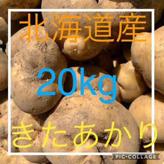 北海道産訳ありじゃがいもキタアカ20kg(野菜)