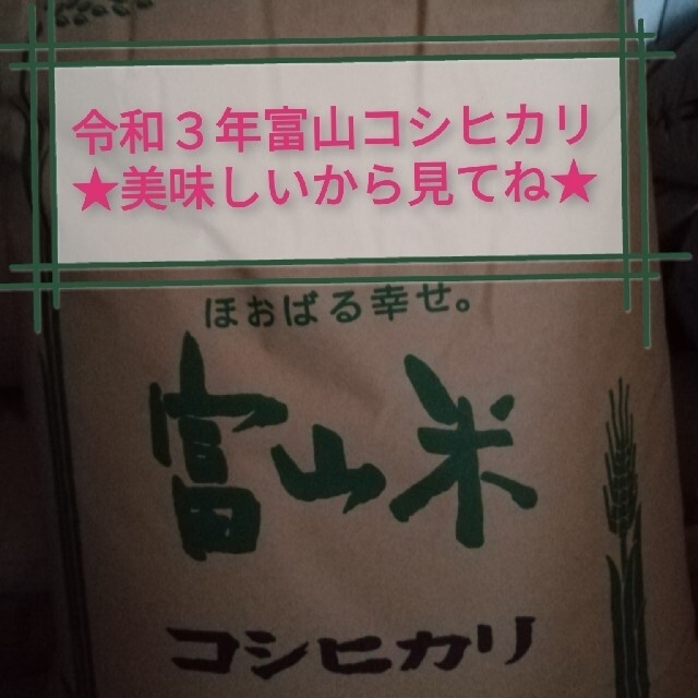 富山県産☆新米☆コシヒカリ玄米20kgのサムネイル