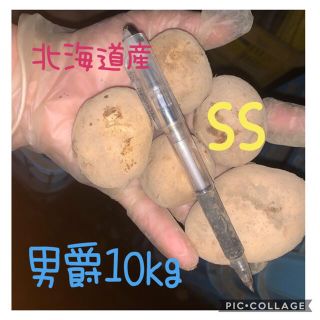 北海道産じゃがいも男爵ss10kg(野菜)