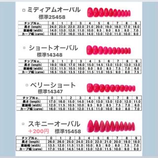 ネイルチップ ピスタチオカラー ドット フラワー 花 ガーリー  アンティーク コスメ/美容のネイル(つけ爪/ネイルチップ)の商品写真