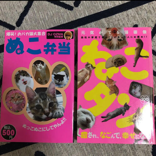 ぬこ弁当 : 爆笑!おバカ猫大集合　ねこタン : 癒され、なごんで、幸せになる エンタメ/ホビーの本(その他)の商品写真