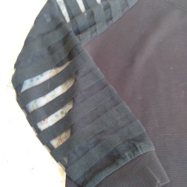 Shellna　シースルー袖　黒 レディースのトップス(カットソー(長袖/七分))の商品写真