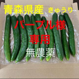 パープル様　青森県産　きゅうり　無農薬(野菜)