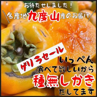 和歌山県産　種無し柿　箱込み4kg  (フルーツ)