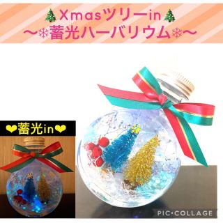 【Xmas】〜❄︎ミニツリーin❄︎〜❤︎小雪舞う蓄光ハーバリウム❤︎ネコ瓶M♪(プリザーブドフラワー)