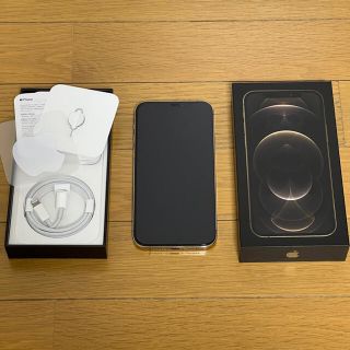 アイフォーン(iPhone)のiPhone 12 pro 256GB ゴールド SIMフリー【中古美品】(スマートフォン本体)