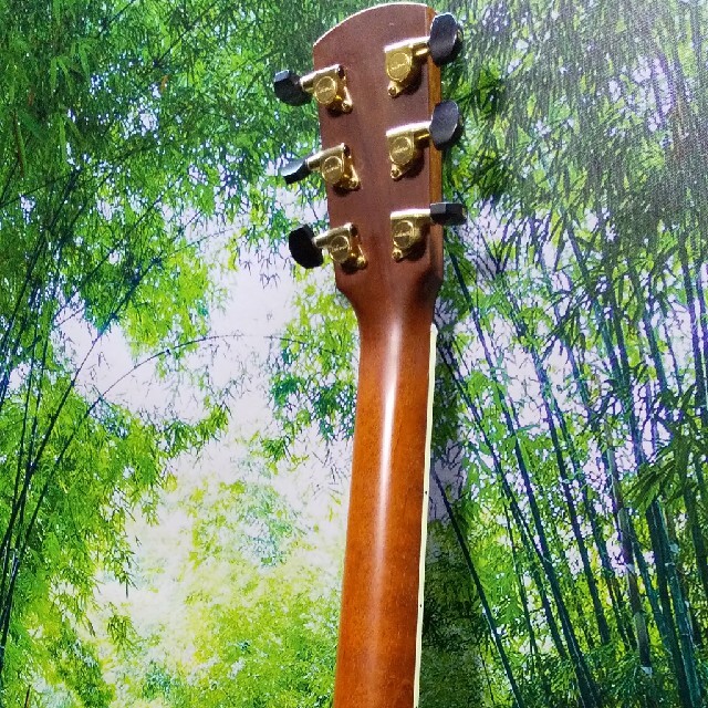 Martin(マーティン)のmagicthumb様専用　LARRIVEE ( ラリビー ) OM-03R 楽器のギター(アコースティックギター)の商品写真