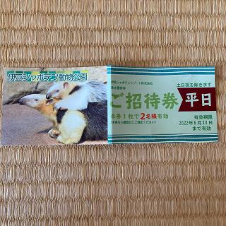 伊豆シャボテンリゾート　伊豆シャボテン公園　２名分(動物園)