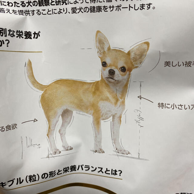 ロイヤルカナン  チワワ成犬用　３キロ✖️4